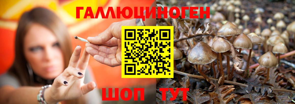 Галлюциногенные грибы Cubensis Усинск